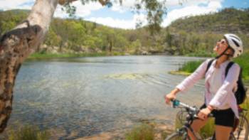 Discover quintessential Australian scenery at Wollemi National Park