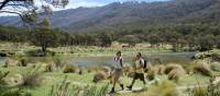 Walking beside Thredbo River in Kosciuszko National Park | Destination NSW