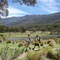 Walking beside Thredbo River in Kosciuszko National Park | Destination NSW