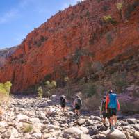 Walking along the Larapinta Trail, NT | Luke Tscharke