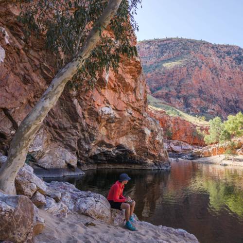 Larapinta trail walking tours best sale