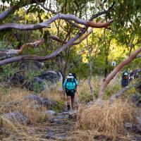 Trekking in the Top End | Oliver Risi