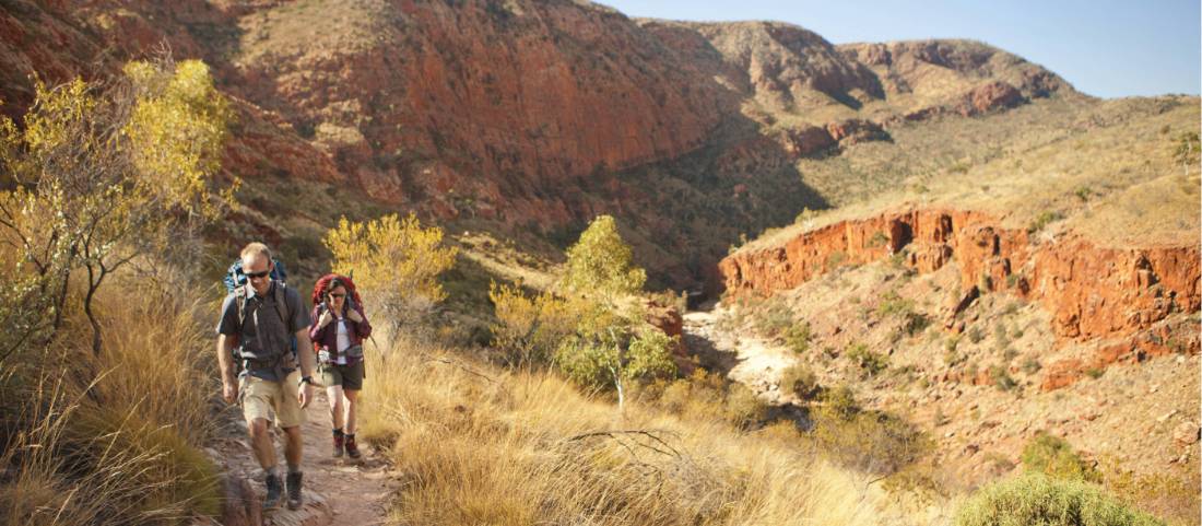 Larapinta Trail 6 Day Self Guided Trek Experience The Larapinta