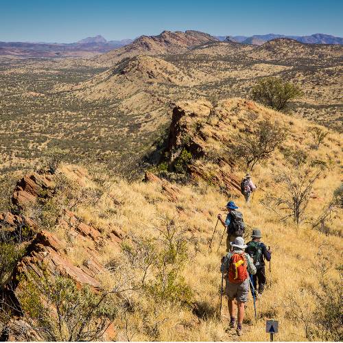 Australian Walking Holidays > Home