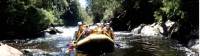 White water rafting down the vibrant Franklin River |  <i>Michele Eckersley</i>