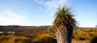 Discover the Overland Track's World Heritage wilderness | Matt Horspool