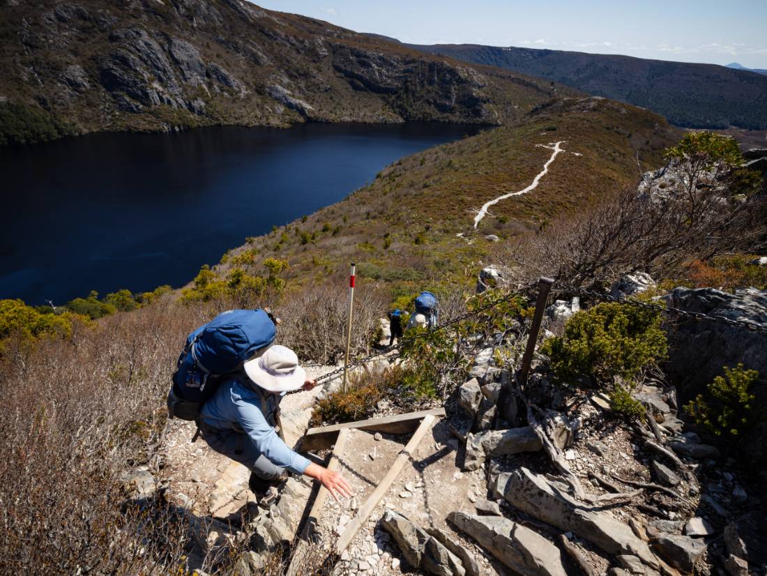 Short, steep section on day 1 of the Overland Track |  Matt Horspool