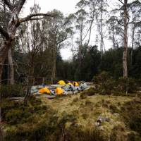 Every campsite is secluded on the Overland Track | Matt Horspool