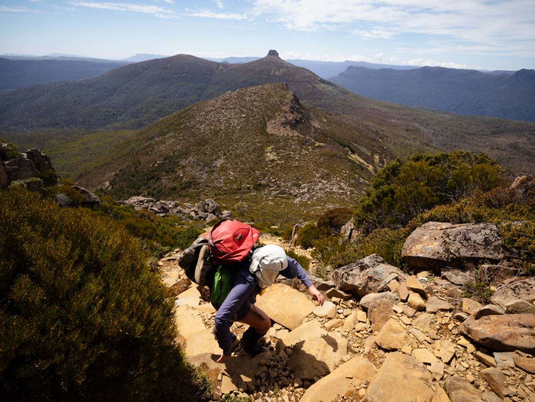 Hiker on the Overland Track |  Matt Horspool