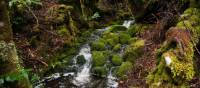 Discover the Overland Track's World Heritage wilderness | Matt Horspool