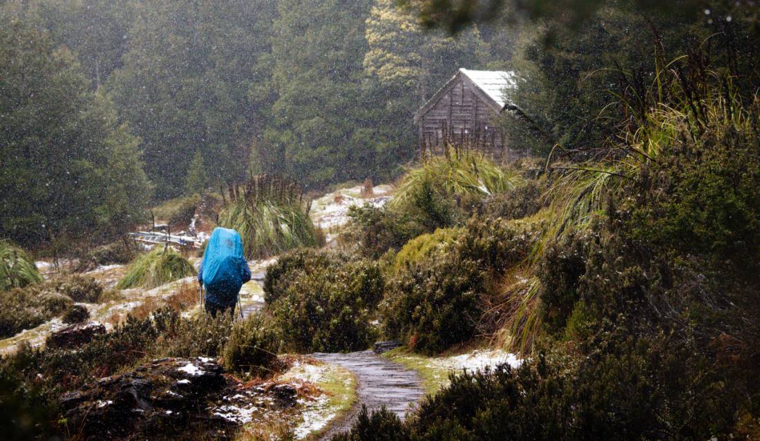 Light snow falls on the Overland Track |  Matt Horspool