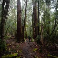 Soaking in the beauty of the Overland Track | Matt Horspool