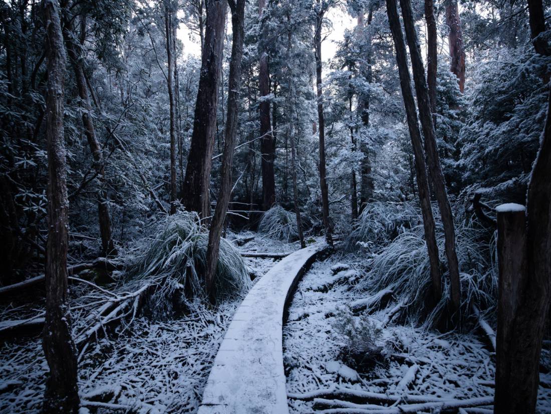 Experience the Overland Track during winter |  Matt Horspool