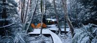 Winter camp on the Overland Track | Matt Horspool