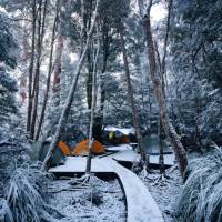 Winter camp on the Overland Track | Matt Horspool