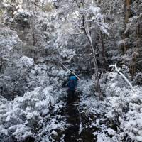 Experience the Overland Track during winter | Matt Horspool