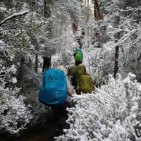 Experience the Overland Track during winter | Matt Horspool