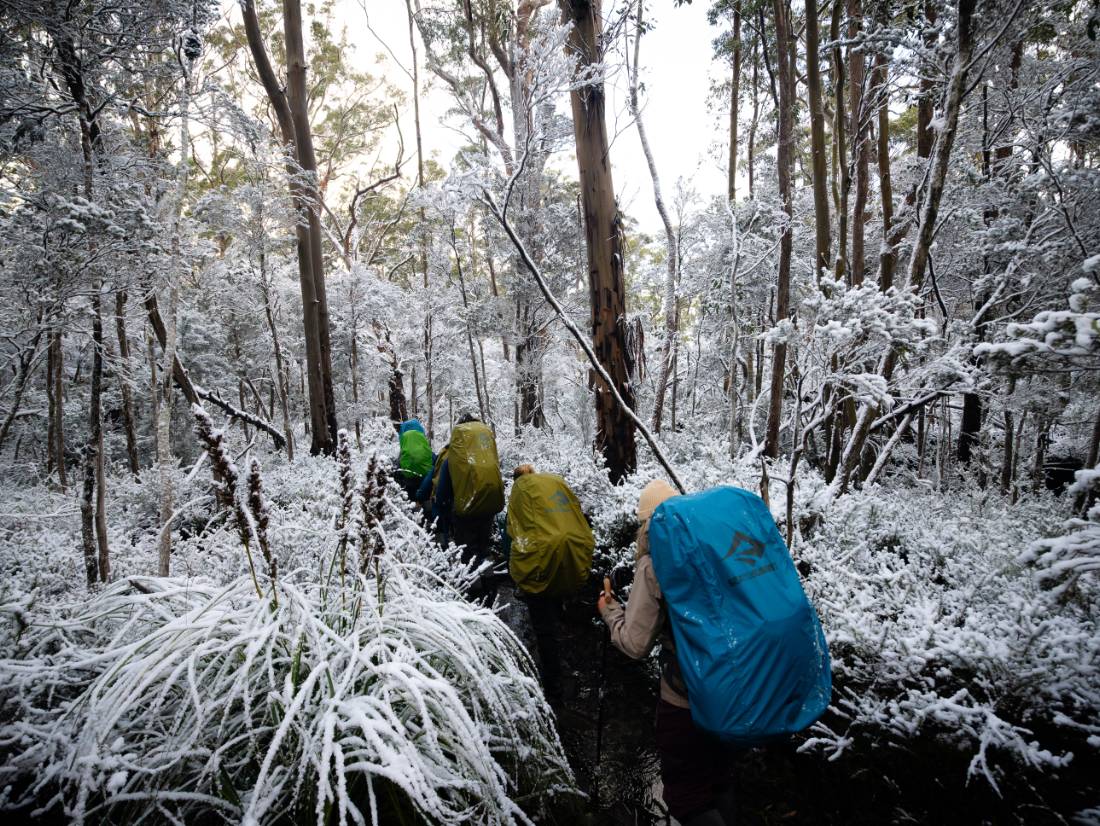 Experience the Overland Track during winter |  Matt Horspool