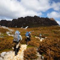 Trekking the legendary Overland Track, Tasmania | Matt Horspool