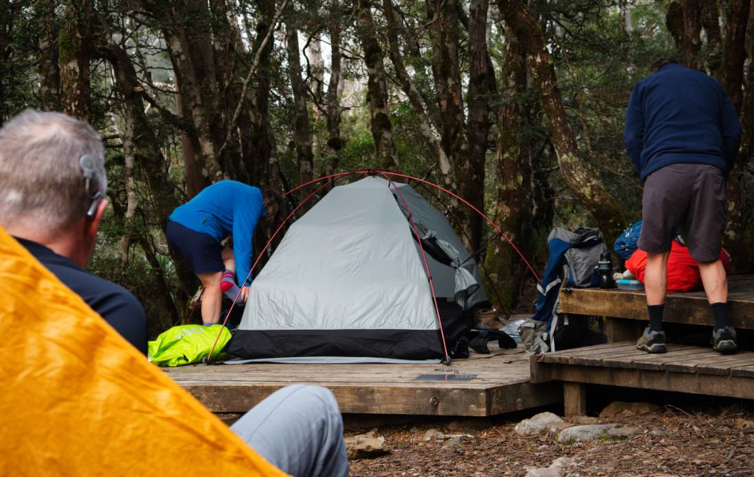 Campsites on the Overland Track |  Matt Horspool