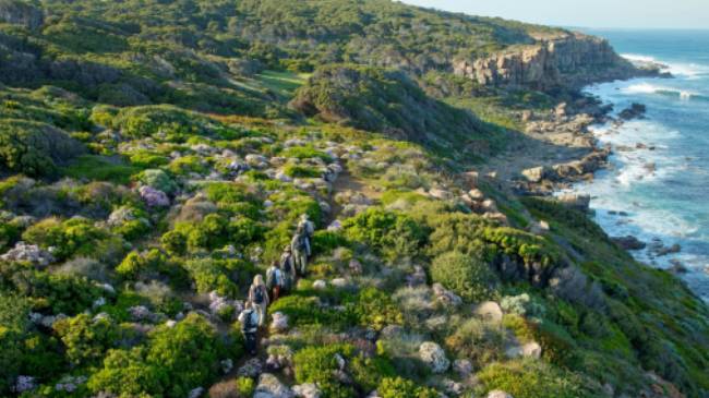 Hiking along the Cape to Cape, Western Australia