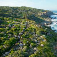 Hiking along the Cape to Cape, Western Australia