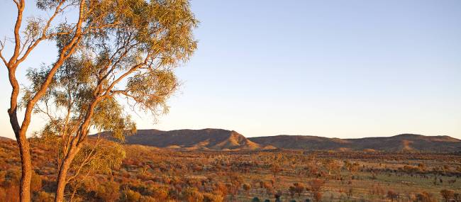 Larapinta Trail | Andrew Bain