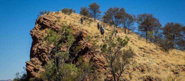 Scale Euro Ridge | Gavin Yeates