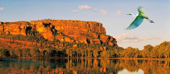 A bird flies over still water in the afternoon sun | Peter Walton