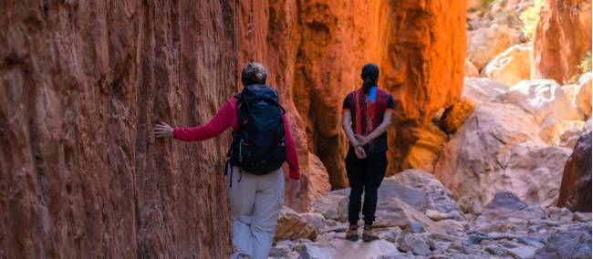 The cultural conversation at Standley Chasm will teach you more about Arrente country | Luke Tscharke