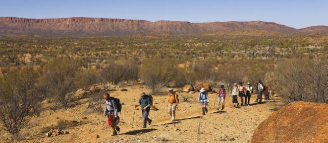 Well defined section of the Larapinta tRail | Peter Walton