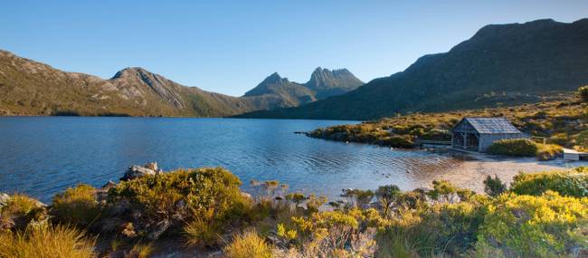 Looking towards Cradle Mountain from Lake Dove | Andrew McIntosh