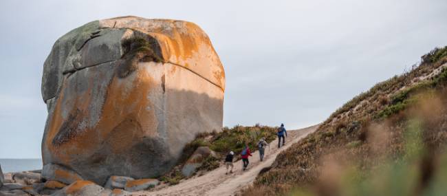 Walkers near Castle Rock, Flinders Island