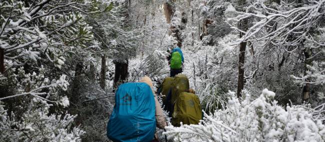 Experience the Overland Track during winter | Matt Horspool