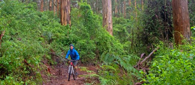 Munda Biddi Trail | Andrew Bain